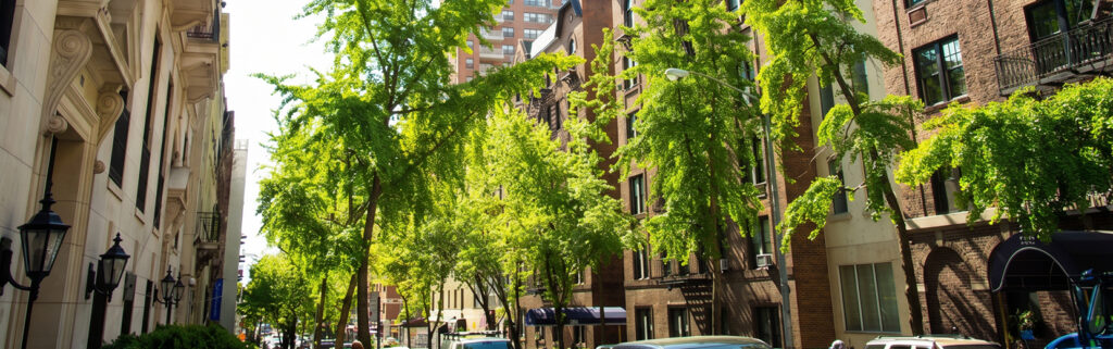A tree-lined New York City street bordered by classic brownstone buildings.